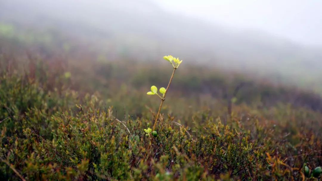 來爸媽在線學(xué)習(xí)后，我孩子的終生大事問題解決了！