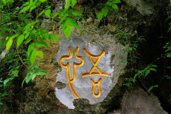 1735089428227015.jpg IMG_0982.JPG