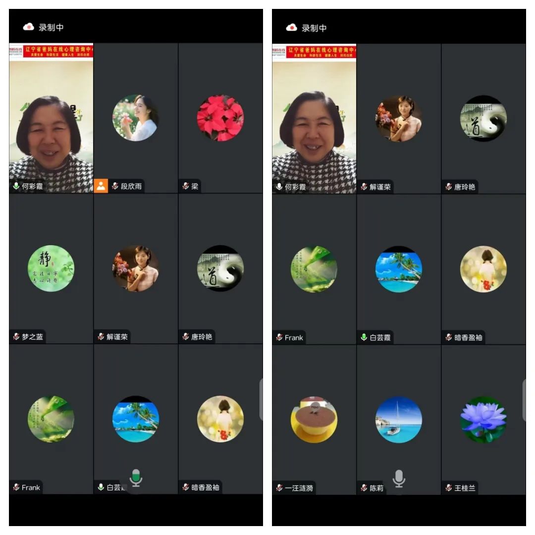 1740967800890936.jpg 1740967800890936.jpg